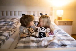 Nici -Nici 43627 03 Image 43620 43621 43622 43623 2048x1365