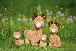 Nici 48606 Alpaka Al Paka 35cm Stehend Plüsch Kuscheltier GREEN 9 Nici 48606 Alpaka Al Paka 35cm Stehend Plüsch Kuscheltier GREEN -Nici 48606 12 48604 48602 48608 Milieu 2048x1366