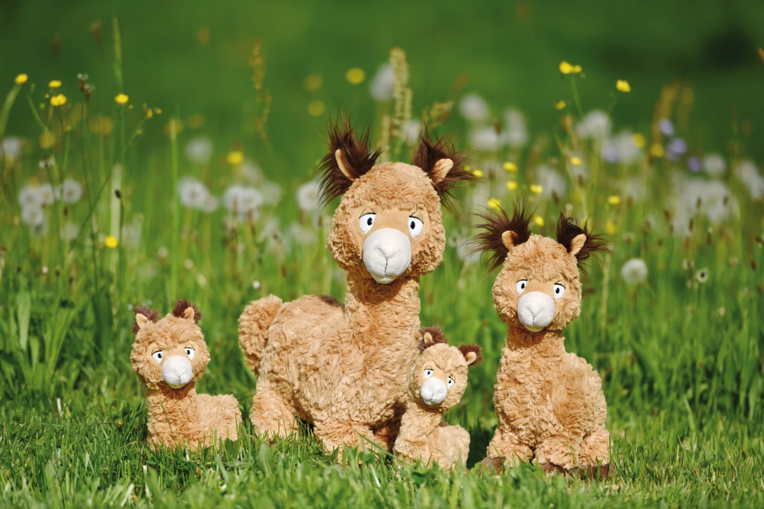 Nici 48606 Alpaka Al Paka 35cm Stehend Plüsch Kuscheltier GREEN 5 Nici 48606 Alpaka Al Paka 35cm Stehend Plüsch Kuscheltier GREEN – Bild 5