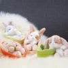 Nici 48706 Sleeping Pets Bunnies Hase Grau 12cm Schlafend Im Körbchen Grün